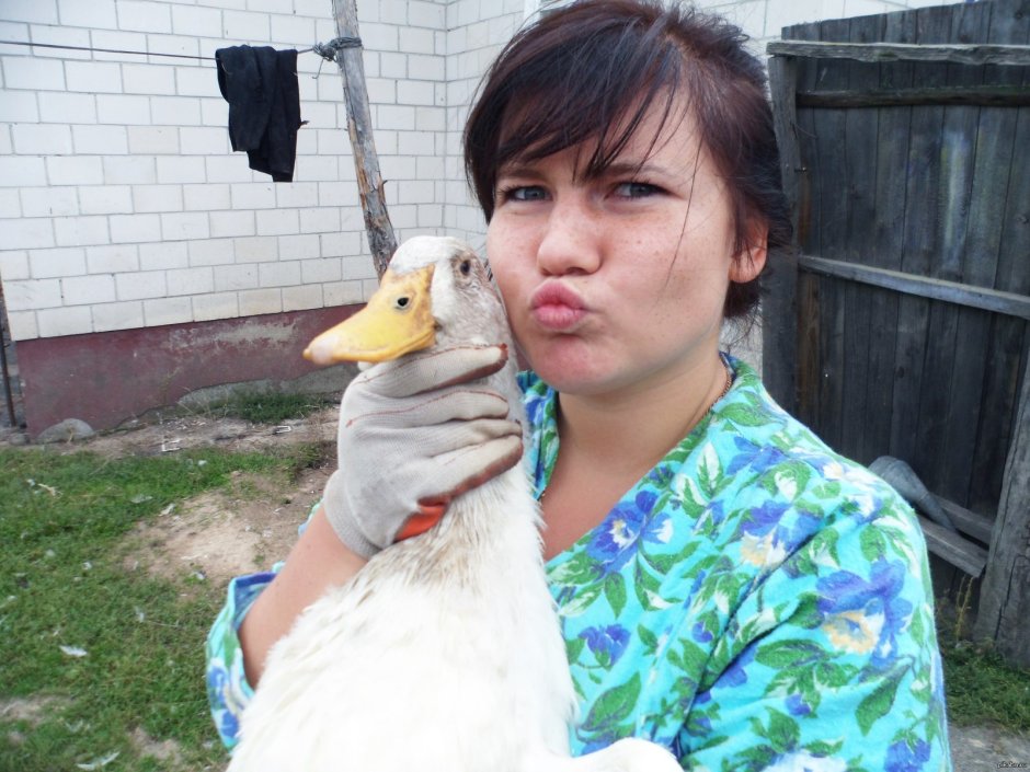 Веселые гуси