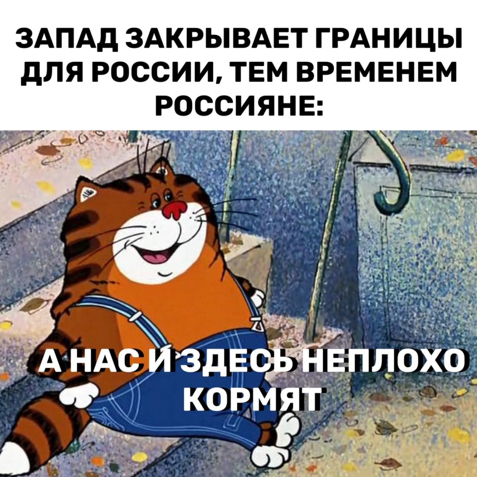 Возвращение блудного попугая кот Василий