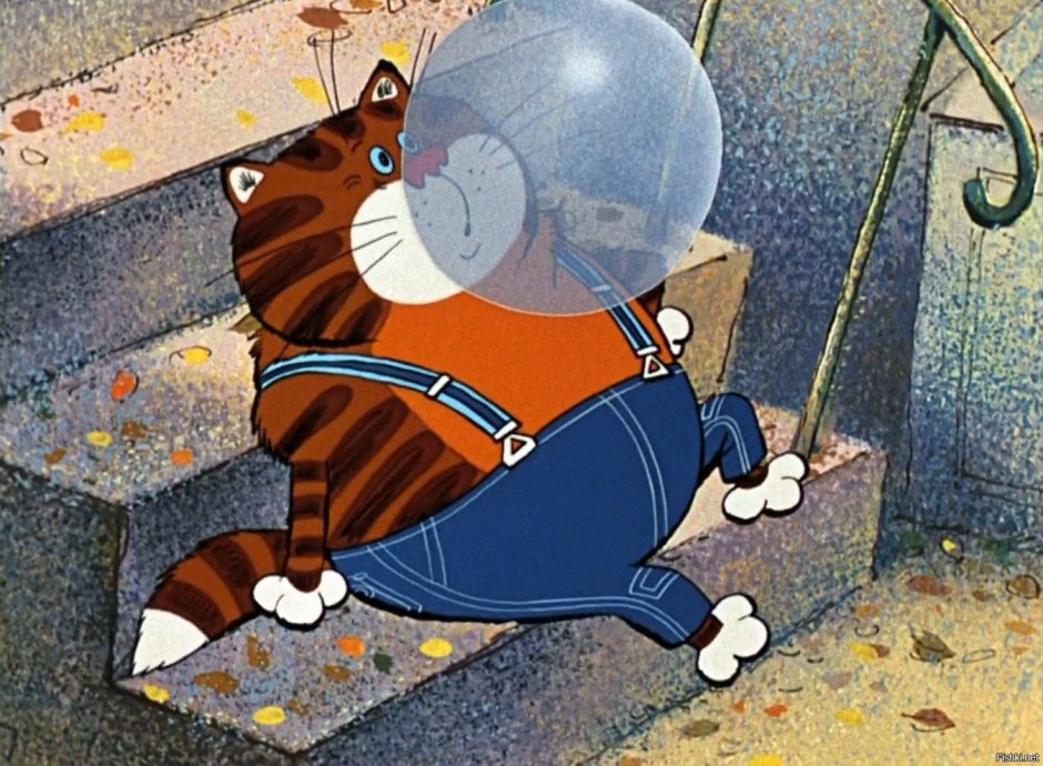 Смешной кота пофигиста