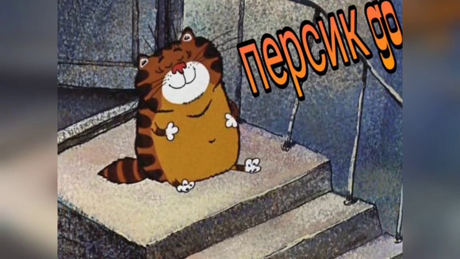 Котики лето
