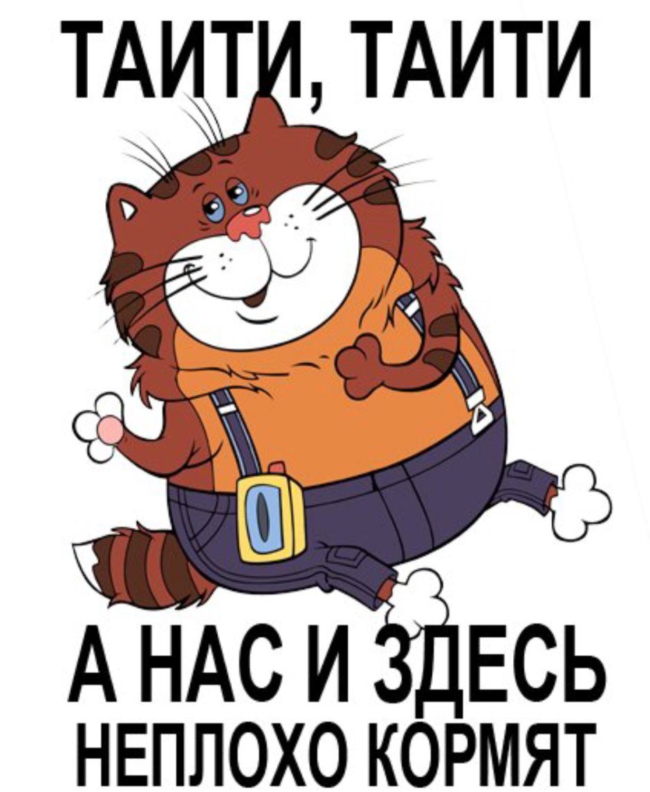 А нас и здесь неплохо кормят