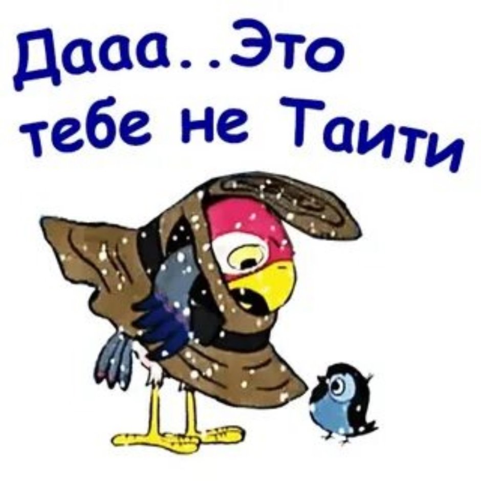 Кот объелся