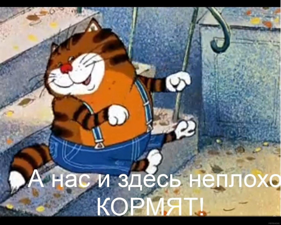 Кот из мультфильма попугай Кеша
