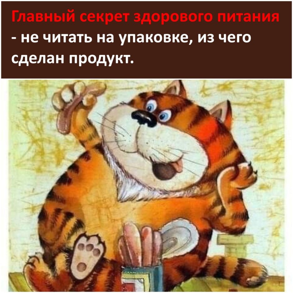 Если бы коты носили штаны