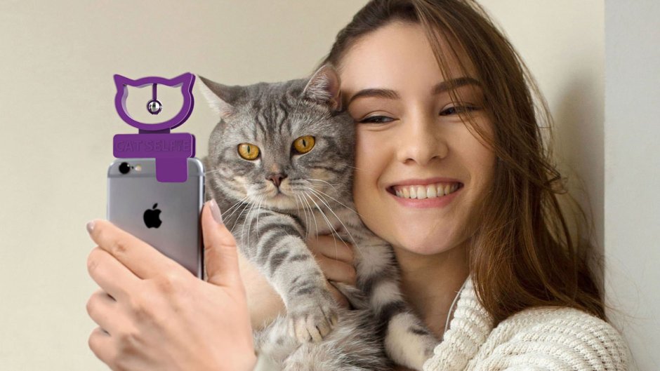 Кошка селфи