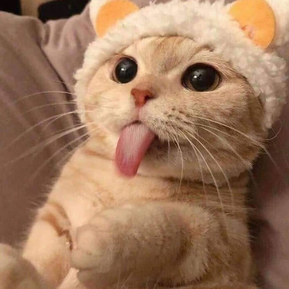 Котик с язычком