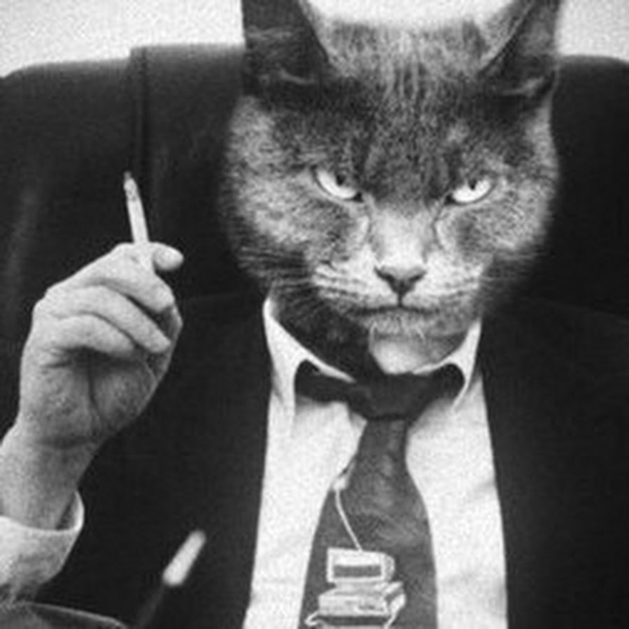 Кот в классическом костюме