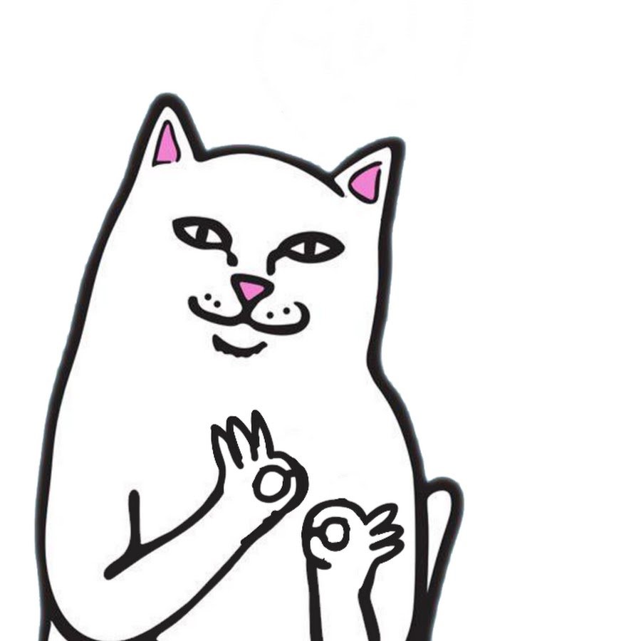 Котик рипндип