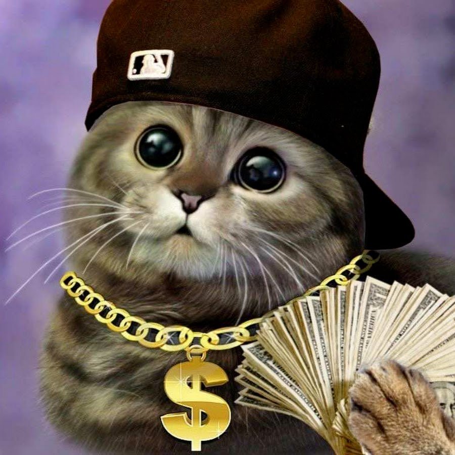 Кот с пиццей