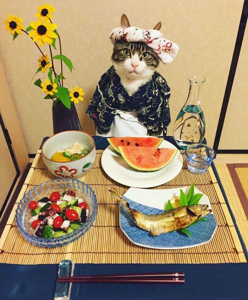 Кошка Хозяюшка