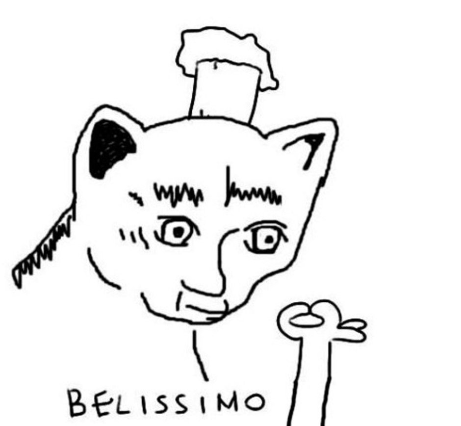 Белиссимо Мем кот