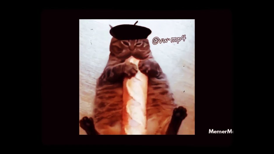 Котик с багетом