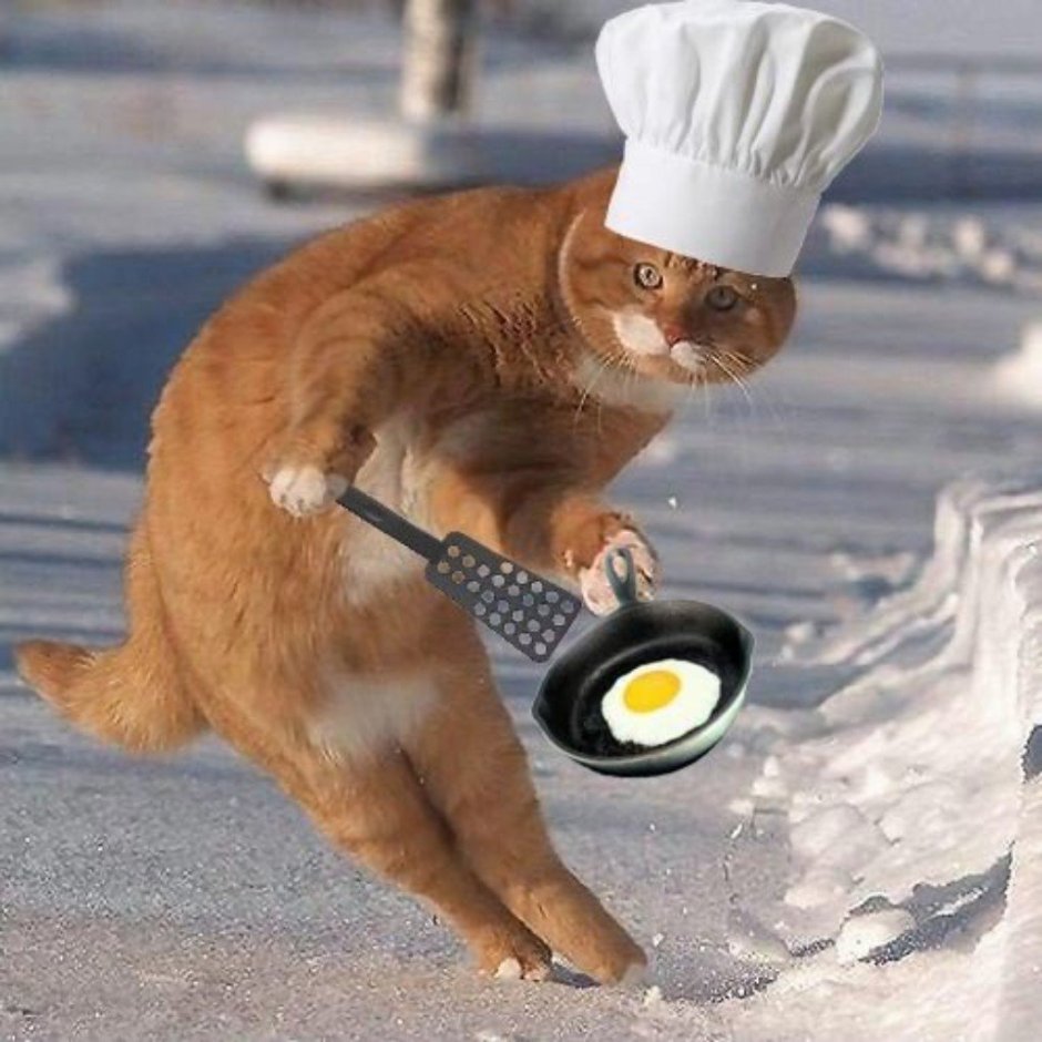 Котенок в колпаке повара