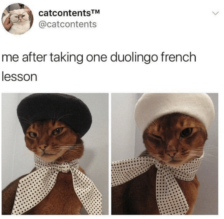 Рыжий кот в шляпе