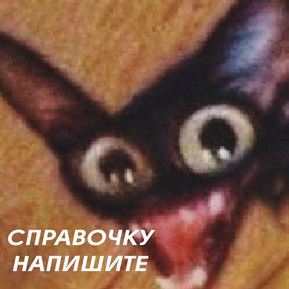 Когда сказал Бонжур вместо