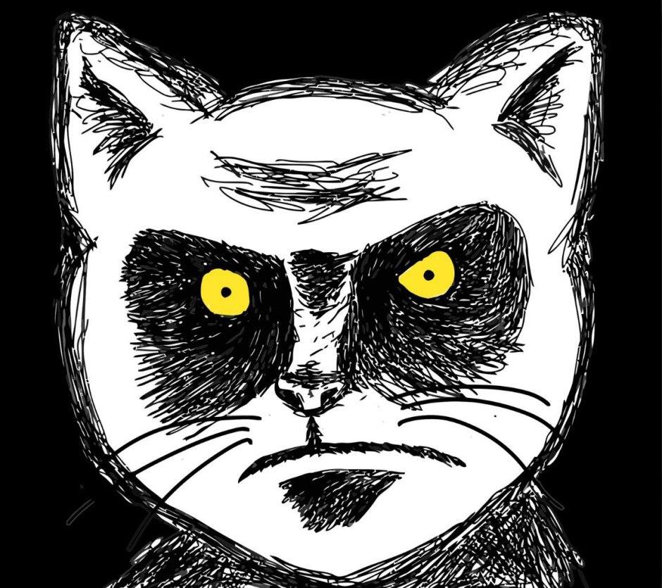 Кот повар Белиссимо