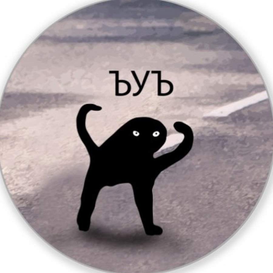 Смешной черный кот