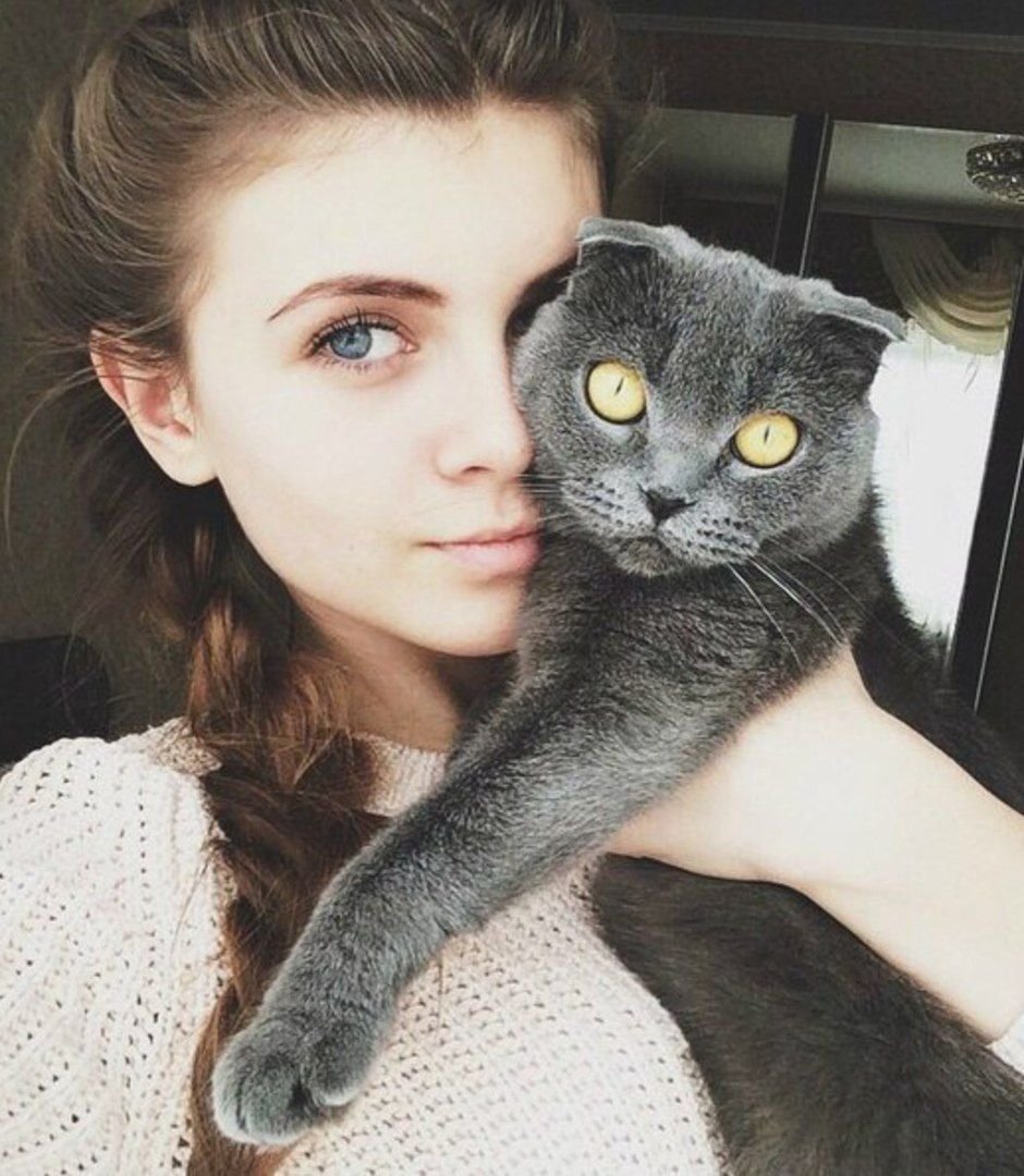 Черный кот с высунутым языком