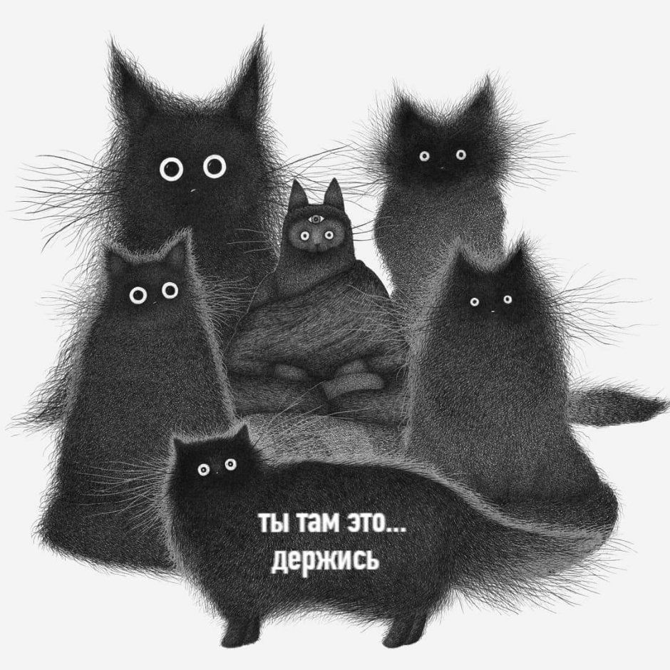 Черная кошка Мем