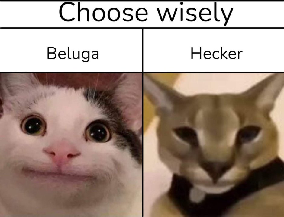 Beluga Cat meme новый год