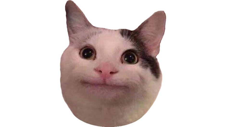 Счастливый кот Мем