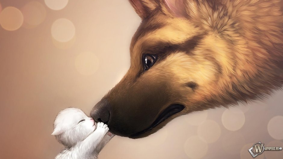 Кошки и собаки