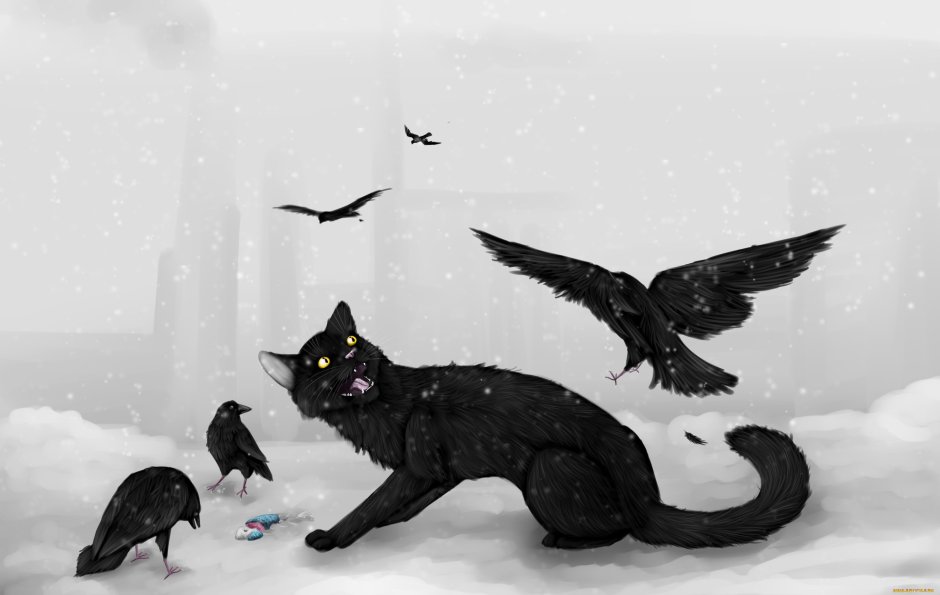 Кошка с вороной