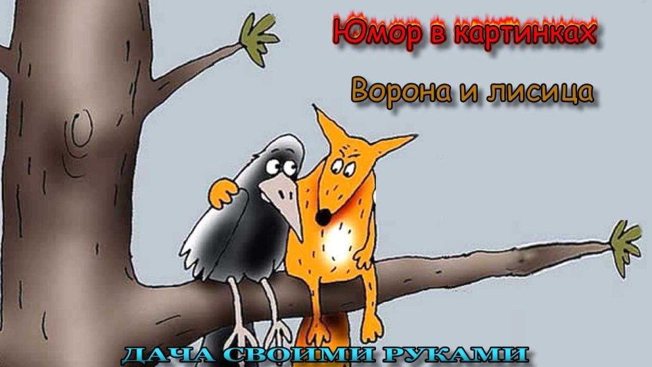 Мистические коты