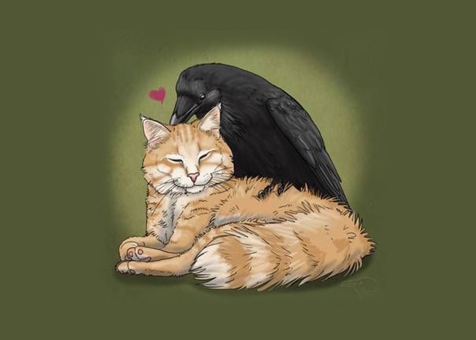 Ворон и кошка арт