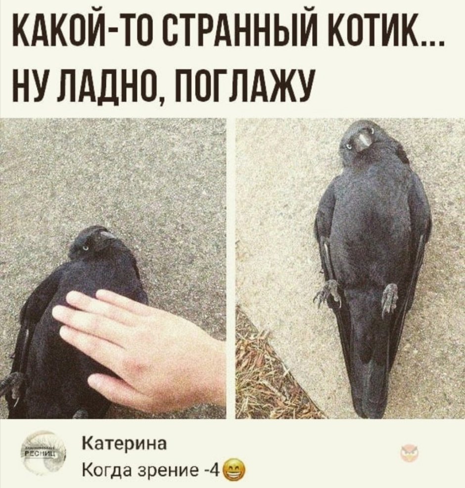 Волк и ворон