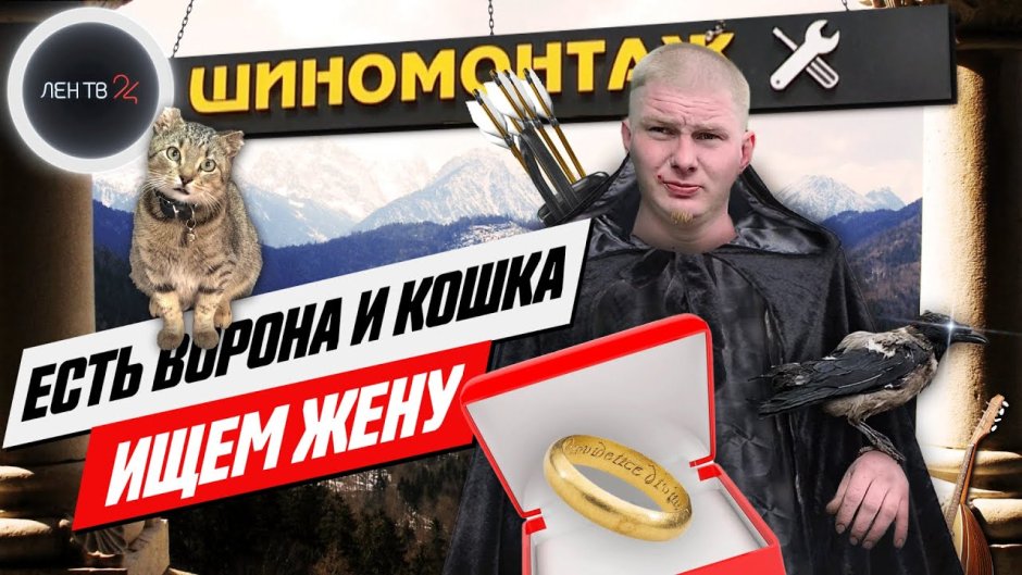 Кот и ворон