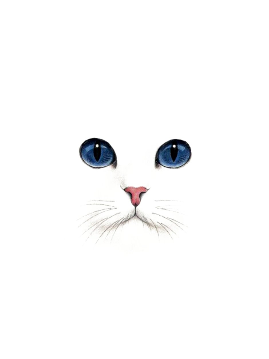 Выглядывающий котик силуэт