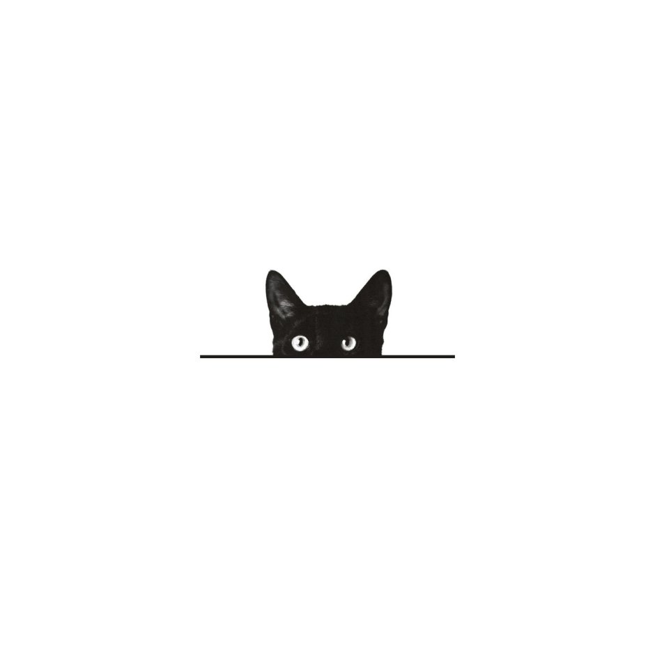 Кот выглядывает