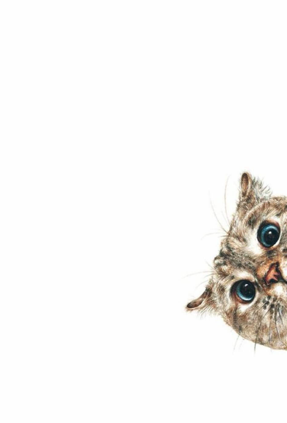 Кот выглядывает сверху