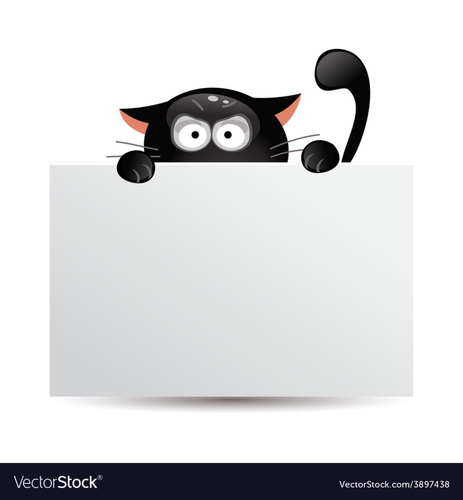 Котенок выглядывает