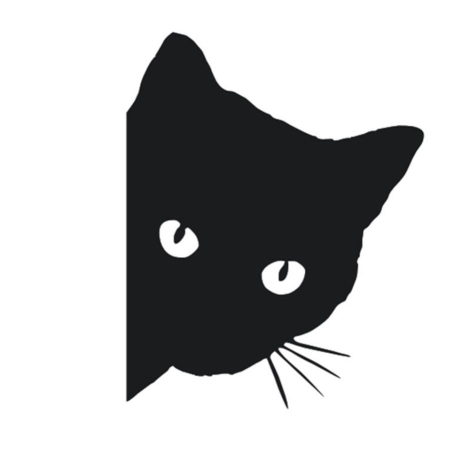 Котенок выглядывает