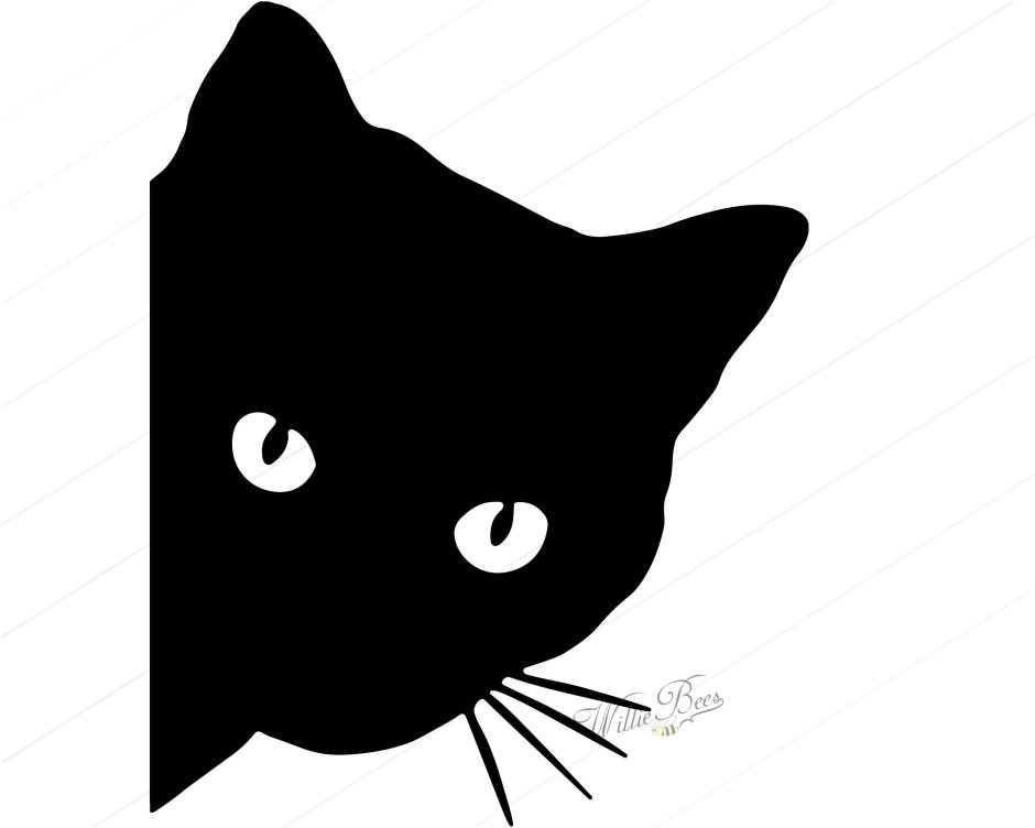 Котенок выглядывает
