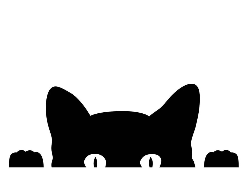 Кот выглядывает