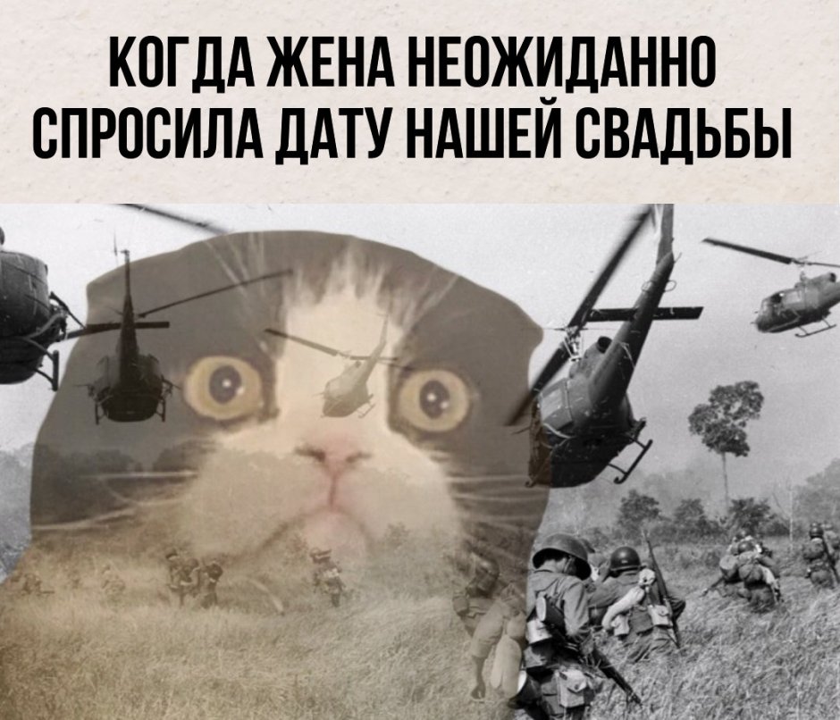 Котопес вьетнамский хмонг