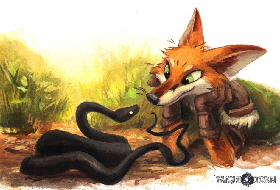Фурри Лис kenket