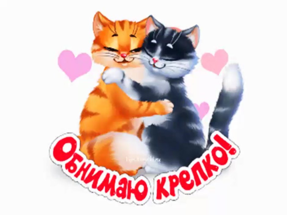 Мультяшный кот и собака