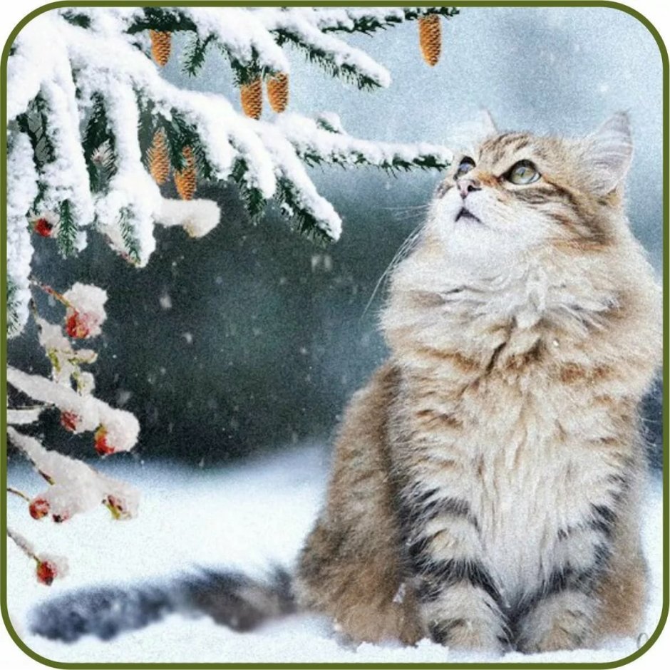 Живопись кошки зимой