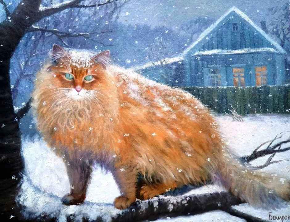 Кот идет в снегу