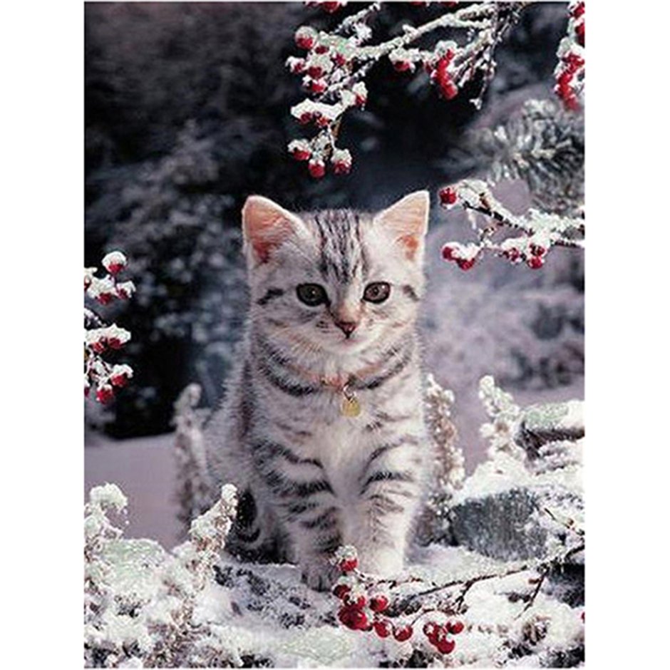 Зимний кот