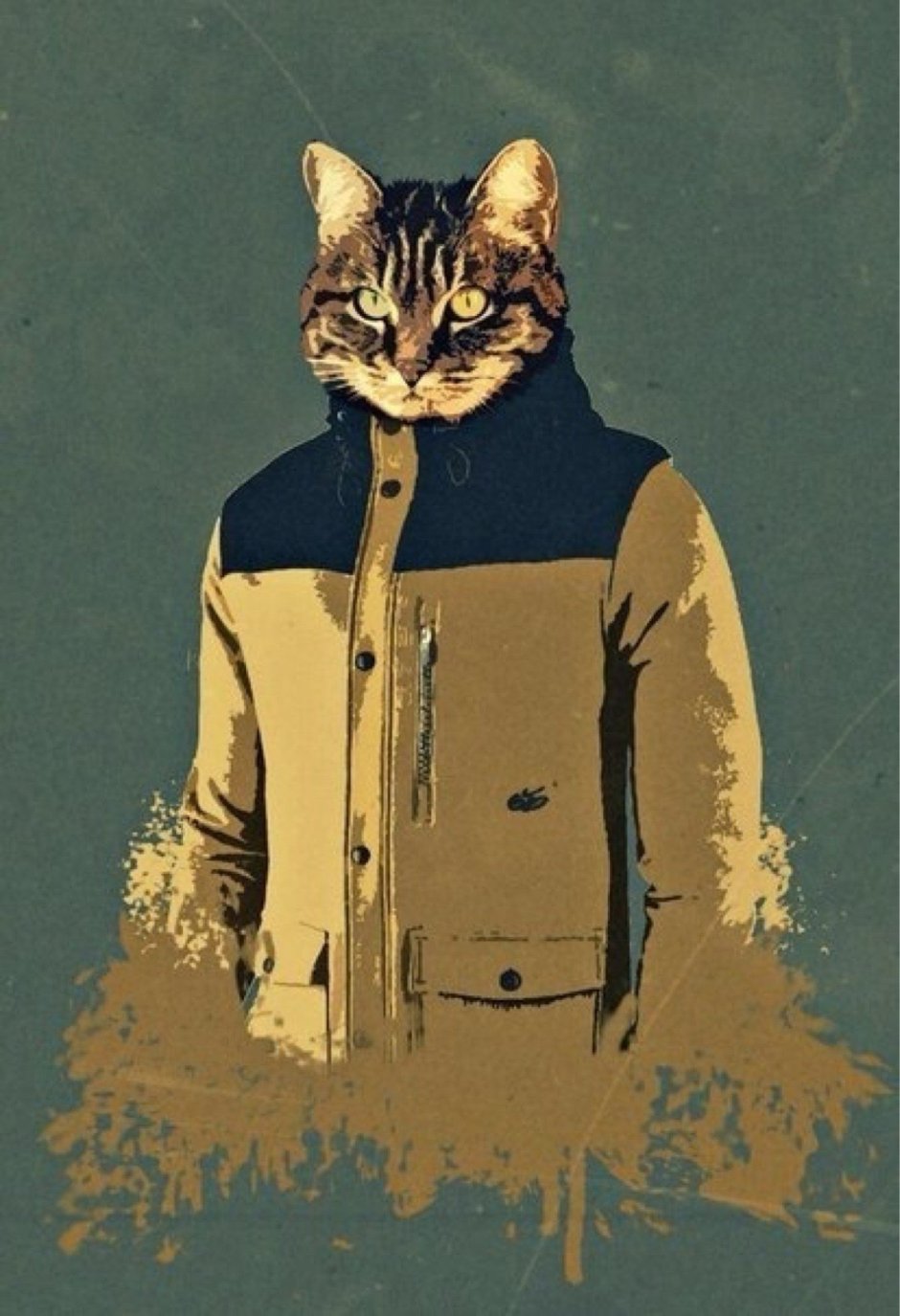 Кот в толстовке