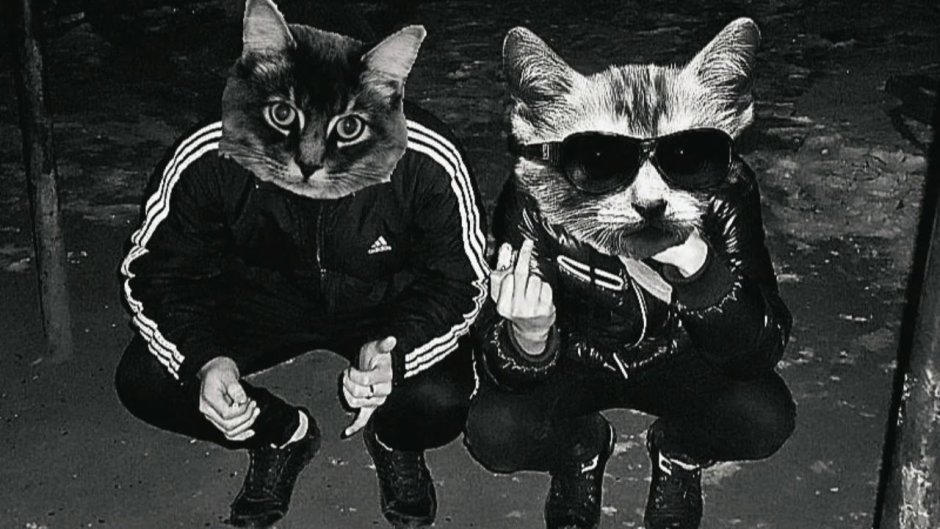 Человек с головой кота