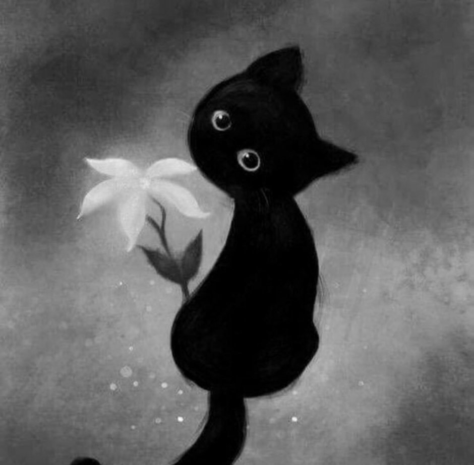 Аниме коты