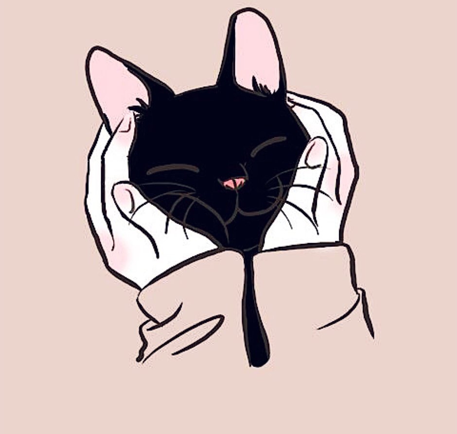 Черный кот мультяшный