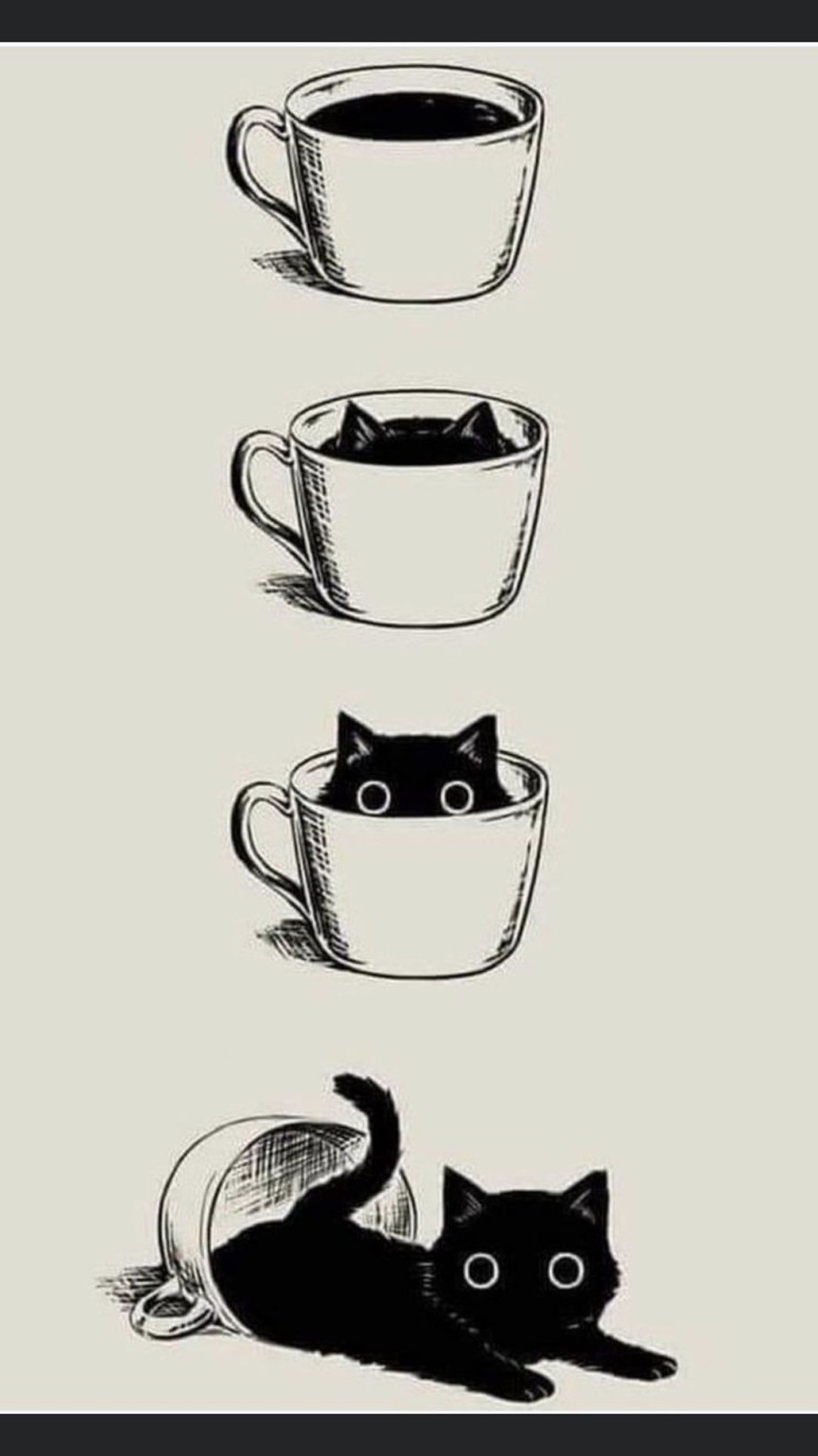 Котик черно белый