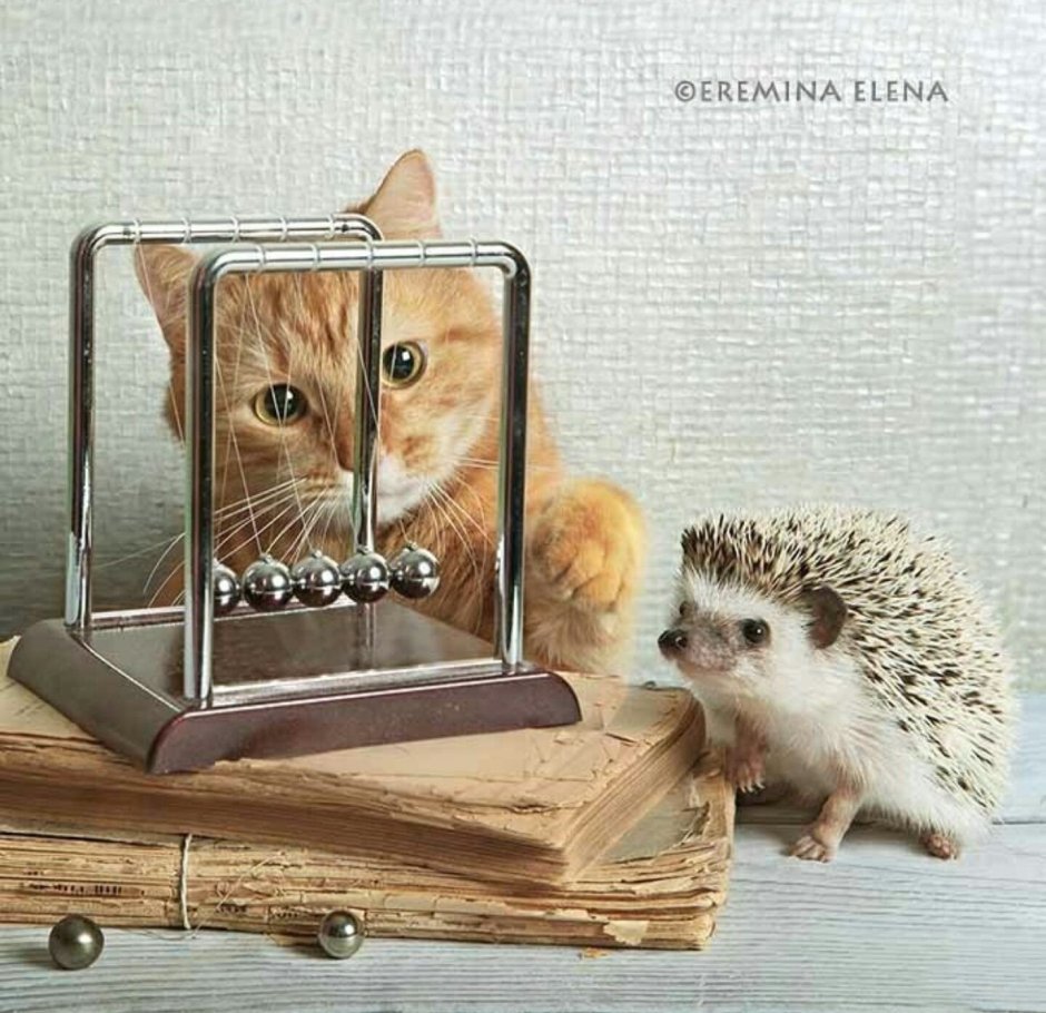 Новогодний Ежик